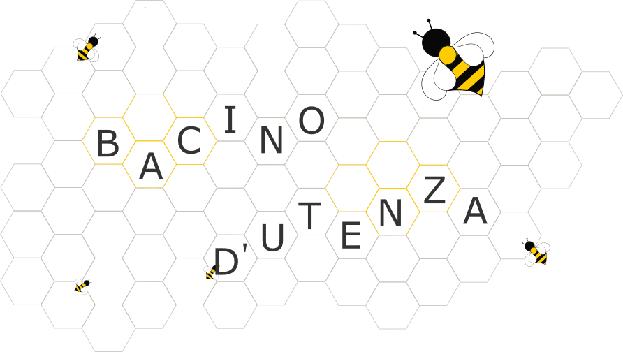 Bacino d'Utenza